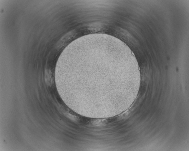 X0000067900136200605111927