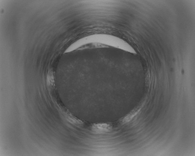 X0000067900137200605111927