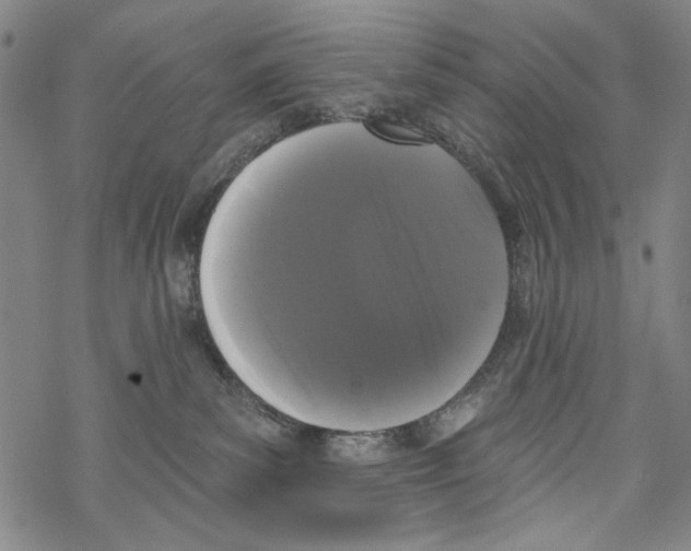 X0000067900139200605111927