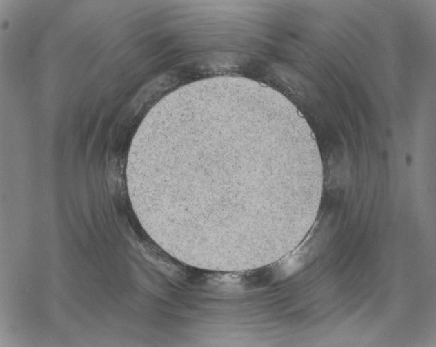 X0000067900140200605111927