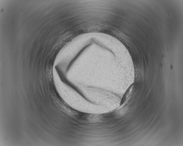 X0000067900142200605111927