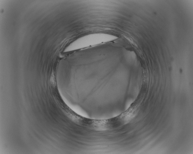 X0000067900143200605111927