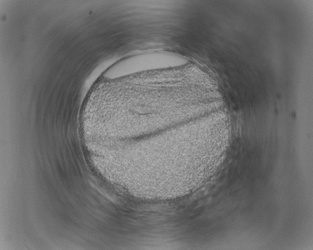 X0000067900147200605111926