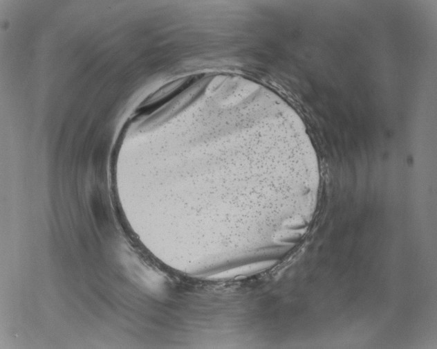 X0000067900148200605111926