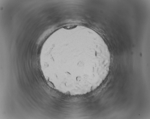 X0000067900149200605111926