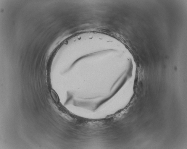 X0000067900150200605111926