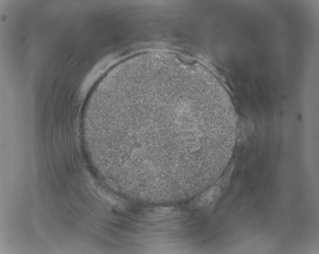 X0000067900151200605111926