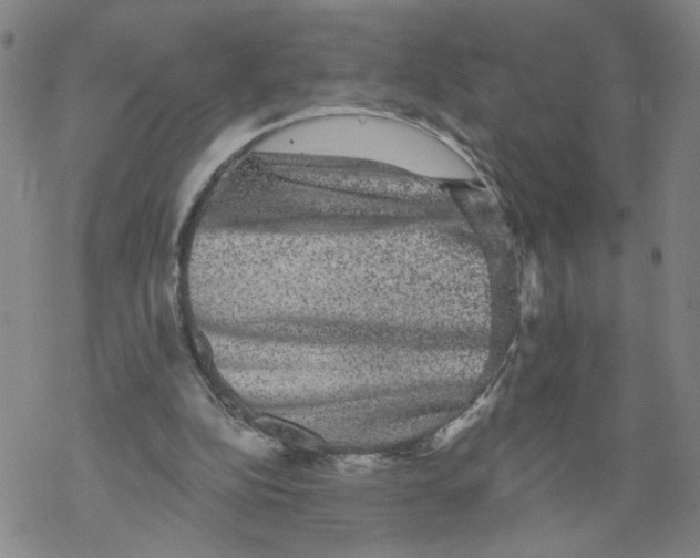 X0000067900152200605111926