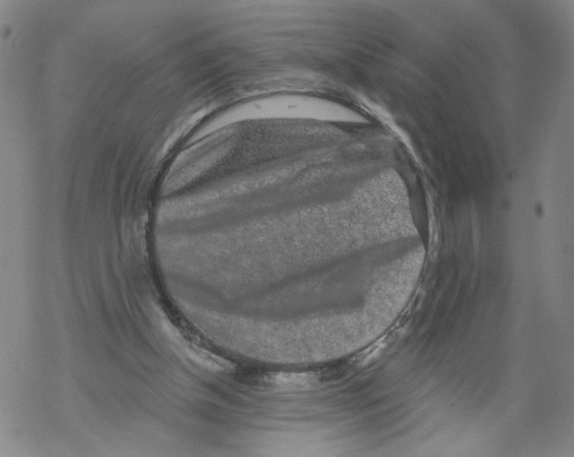 X0000067900154200605111926