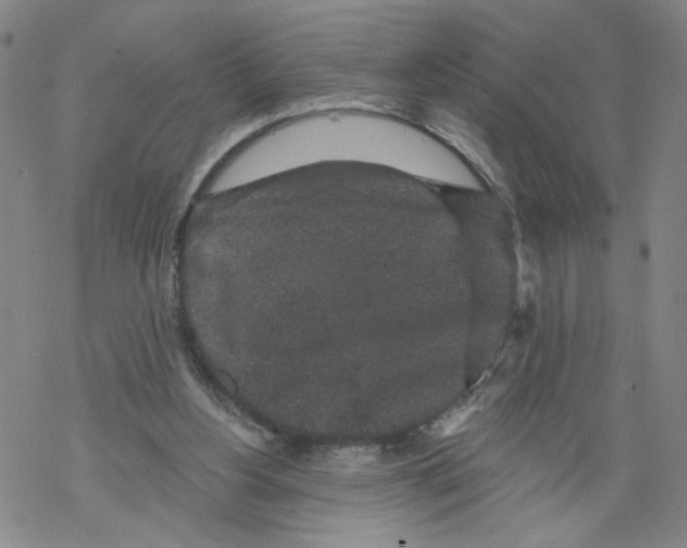 X0000067900156200605111926