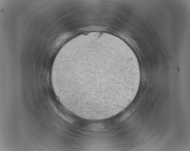 X0000067900157200605111926