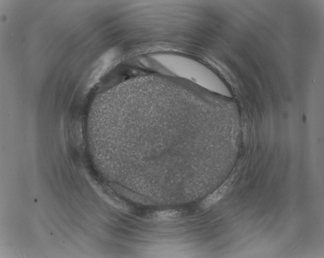 X0000067900158200605111926