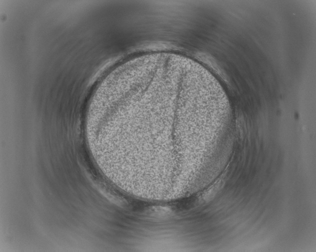 X0000067900159200605111926