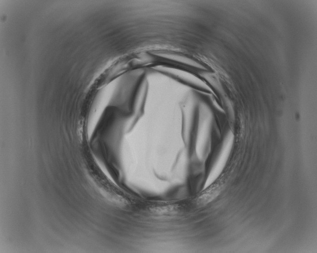 X0000067900160200605111926