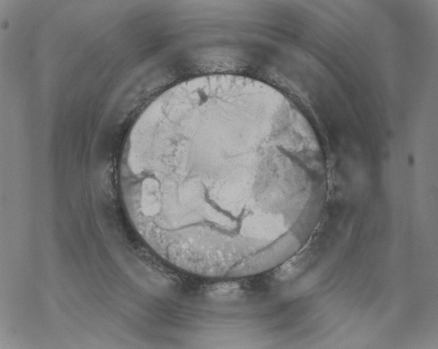 X0000067900162200605111926