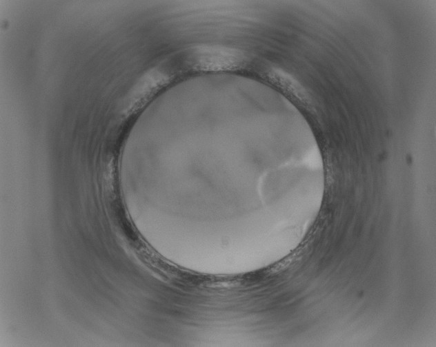 X0000067900163200605111926