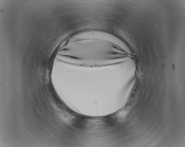 X0000067900164200605111926