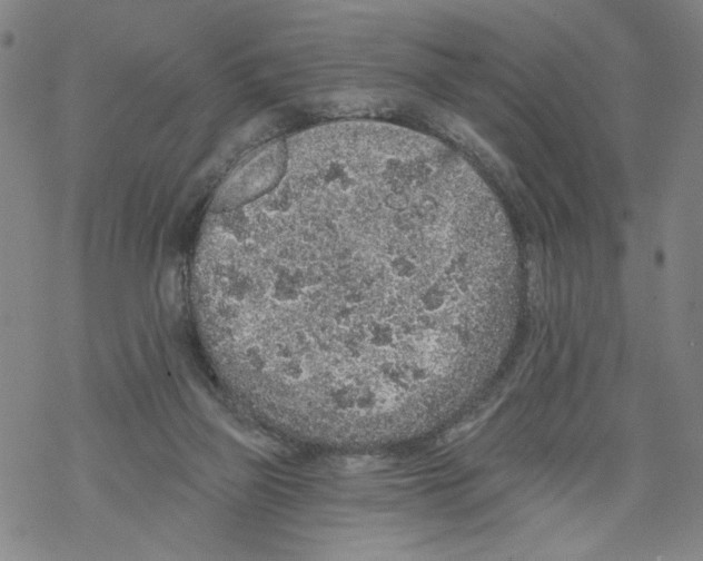 X0000067900165200605111926