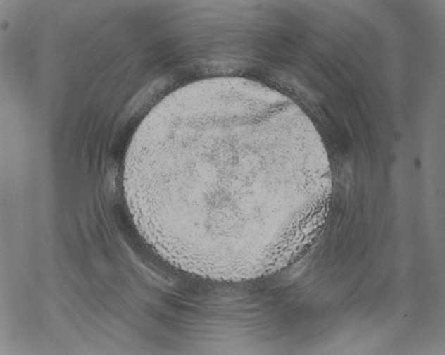 X0000067900166200605111926