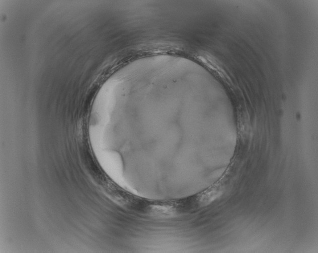 X0000067900167200605111926