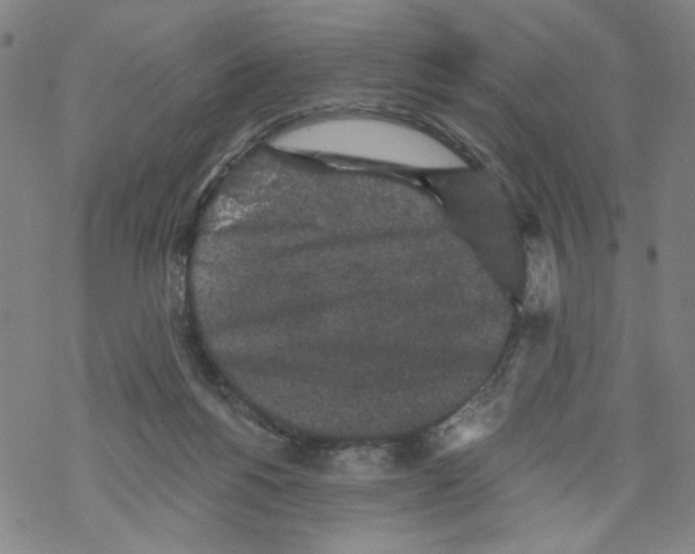 X0000067900168200605111926