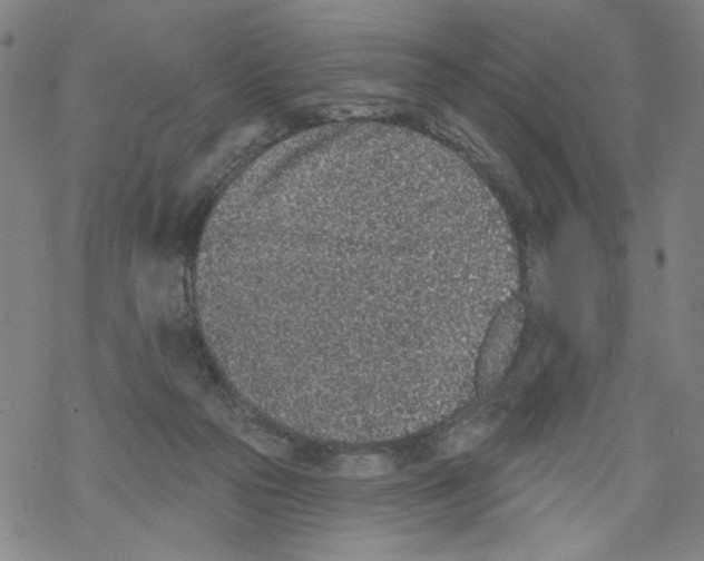 X0000067900169200605111926