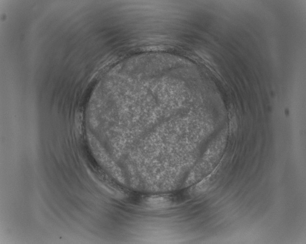 X0000067900171200605111926