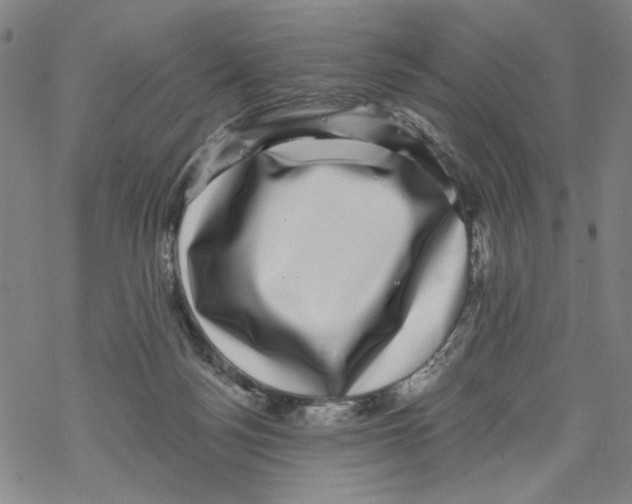 X0000067900172200605111926