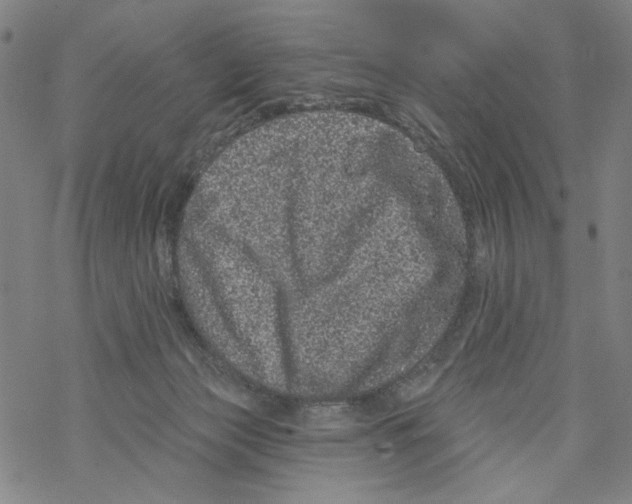 X0000067900173200605111926