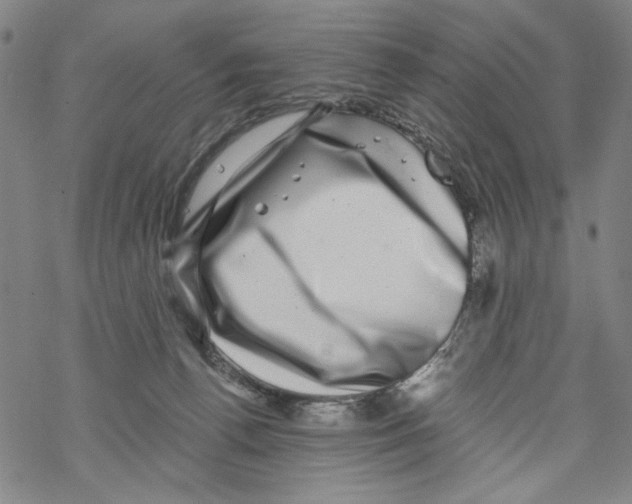 X0000067900176200605111926