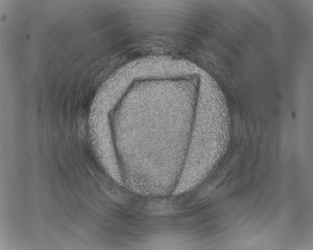 X0000067900177200605111926