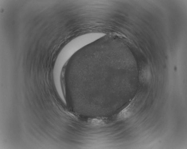 X0000067900180200605111927