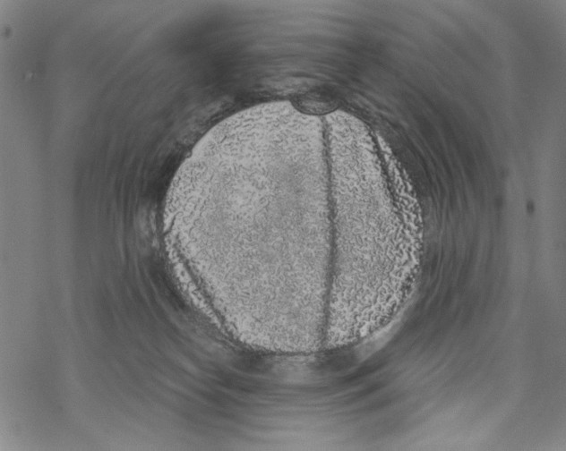 X0000067900182200605111927