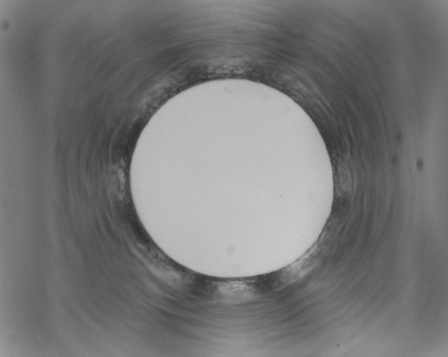 X0000067900183200605111927