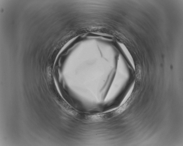 X0000067900184200605111927