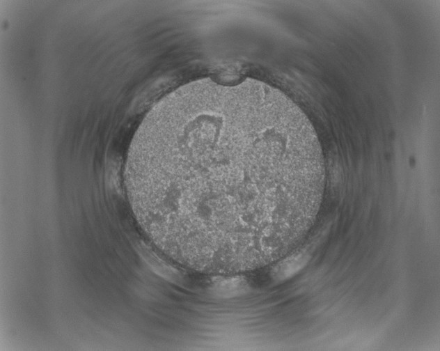 X0000067900185200605111927