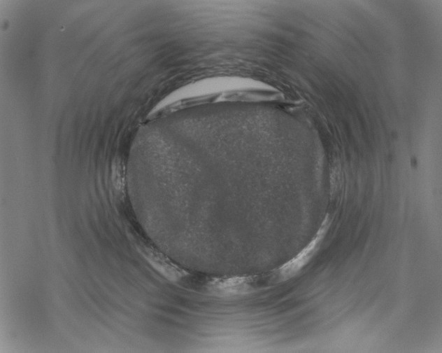 X0000067900186200605111927