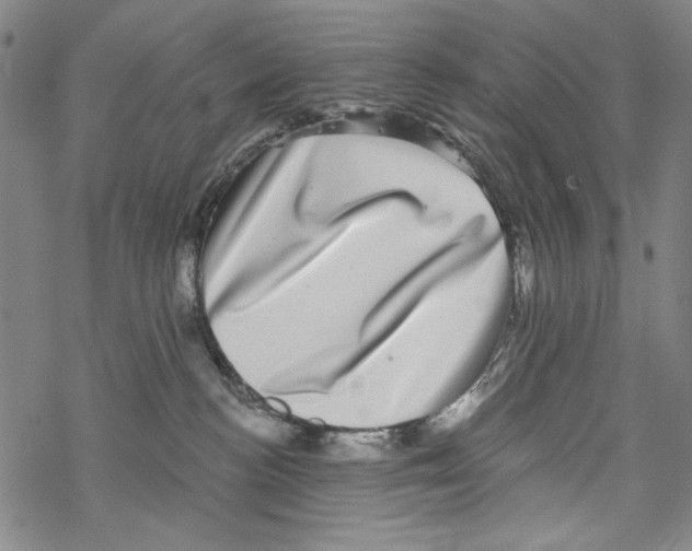 X0000067900188200605111927