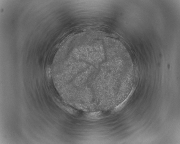 X0000067900191200605111927