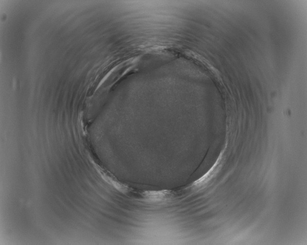 X0000067900192200605111927