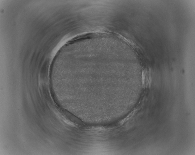 X0000067900195200605111926