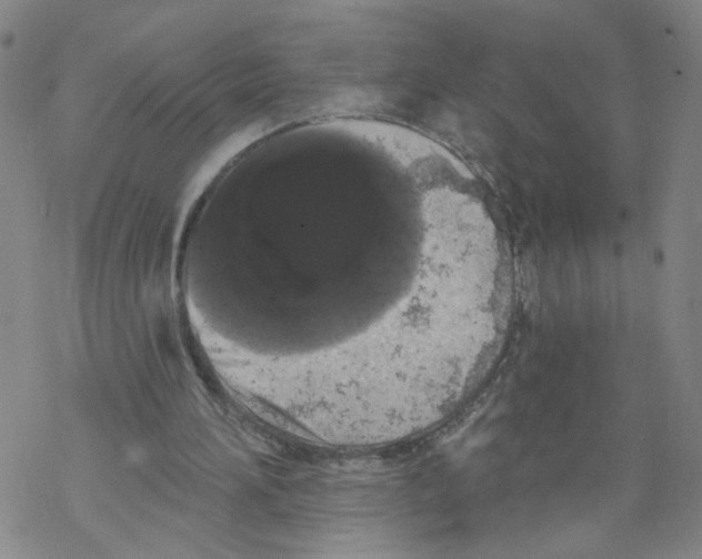 X0000067900196200605111926