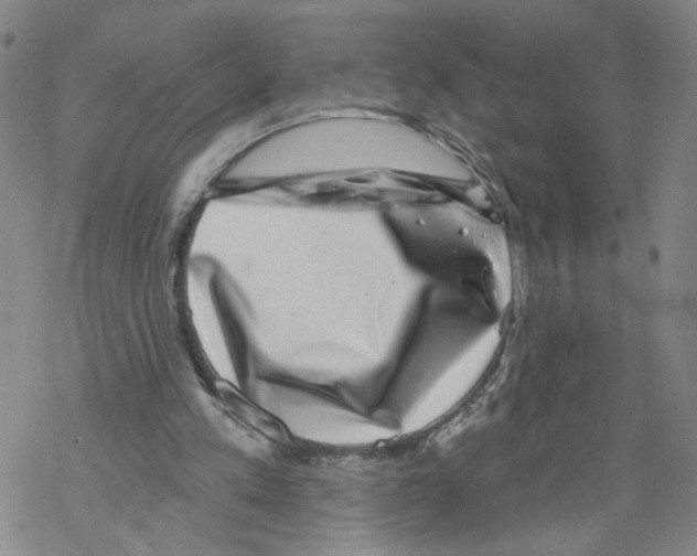 X0000067900197200605111926