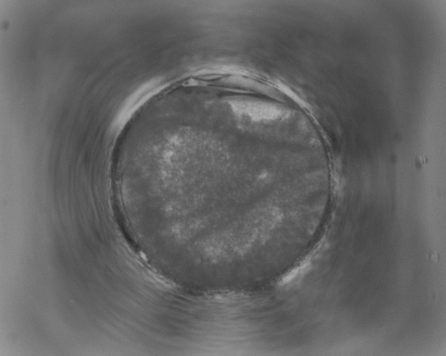 X0000067900199200605111926