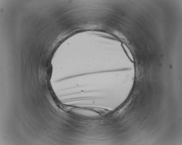 X0000067900201200605111926