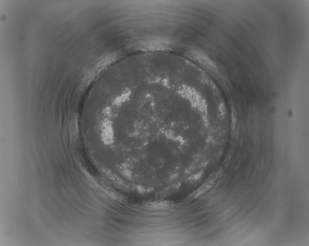 X0000067900202200605111926