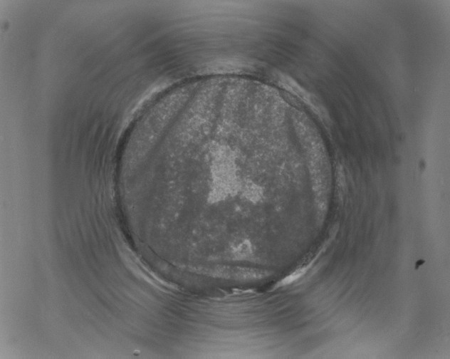 X0000067900203200605111926