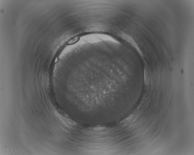 X0000067900204200605111926