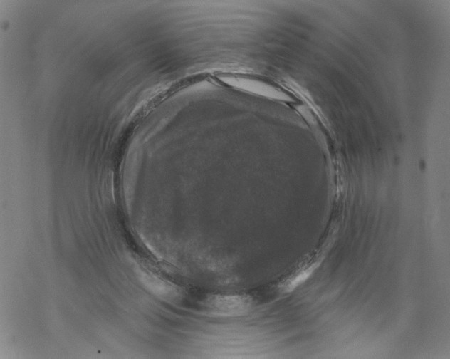 X0000067900205200605111926