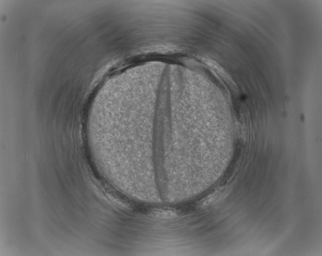 X0000067900207200605111926